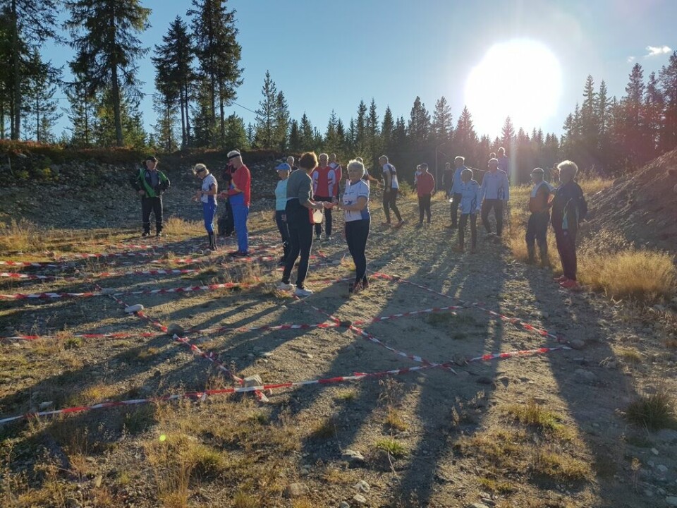 Fin høstkveld for bedrifts-O-løperne på Budor Lav kveldssol.jpg