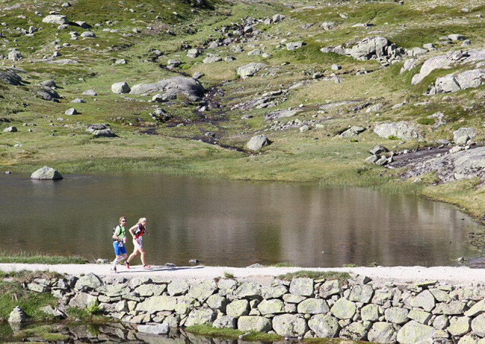 Mot snøfrie og rekordraske forhold i Rallarvegsløpet Rallar2.jpg