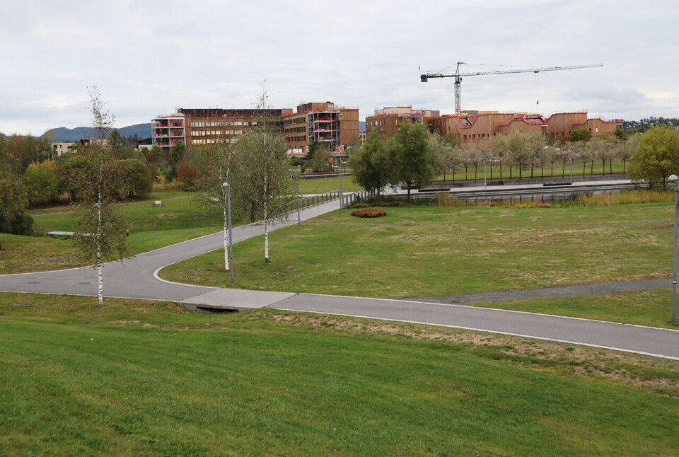 Til lørdag arrangeres det parkrun for første gang i Nansenparken ved Fornebu utenfor Oslo. (Alle foto: arrangøren) Til lørdag arrangeres det parkrun for første gang i Nansenparken ved Fornebu utenfor Oslo. (Alle foto: arrangøren)