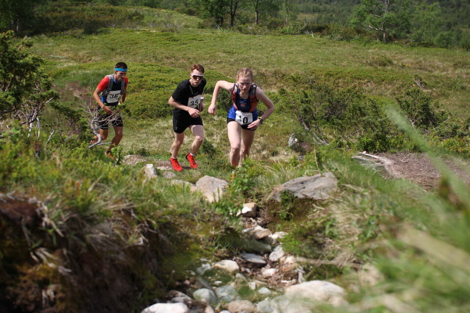 Svinestranda Opp under praktfulle forhold IMG_2690.JPG