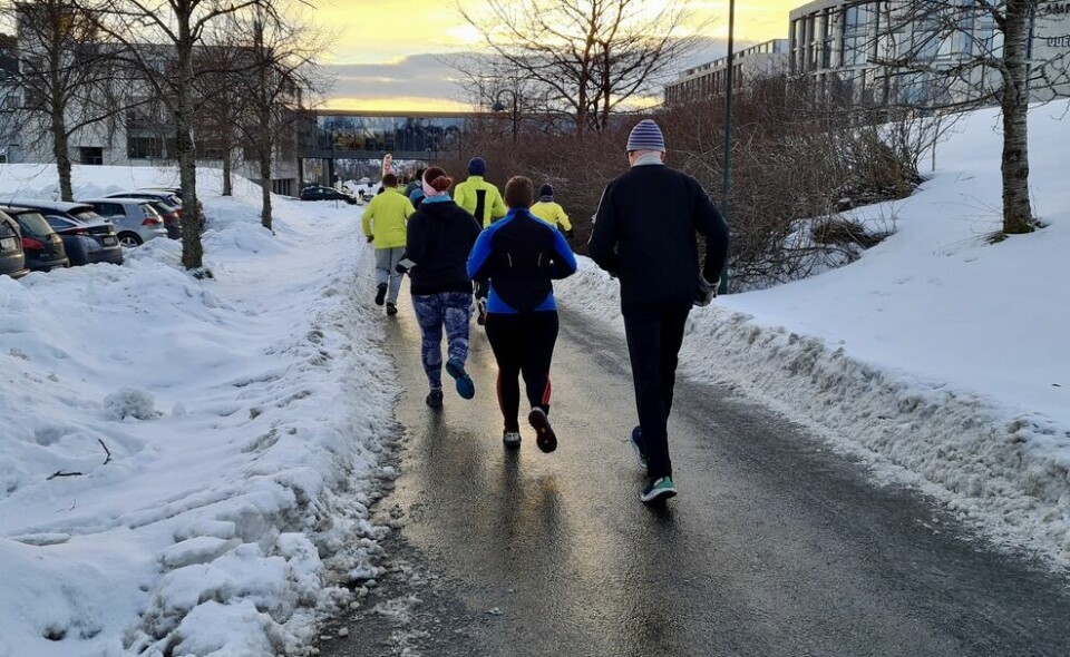 Ålesund Nyttårsmaraton på vinterføre 5km_bakfra