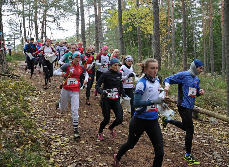10 ganger'n for Hausken Nordberg i Blodslitet BlodD1720.jpg
