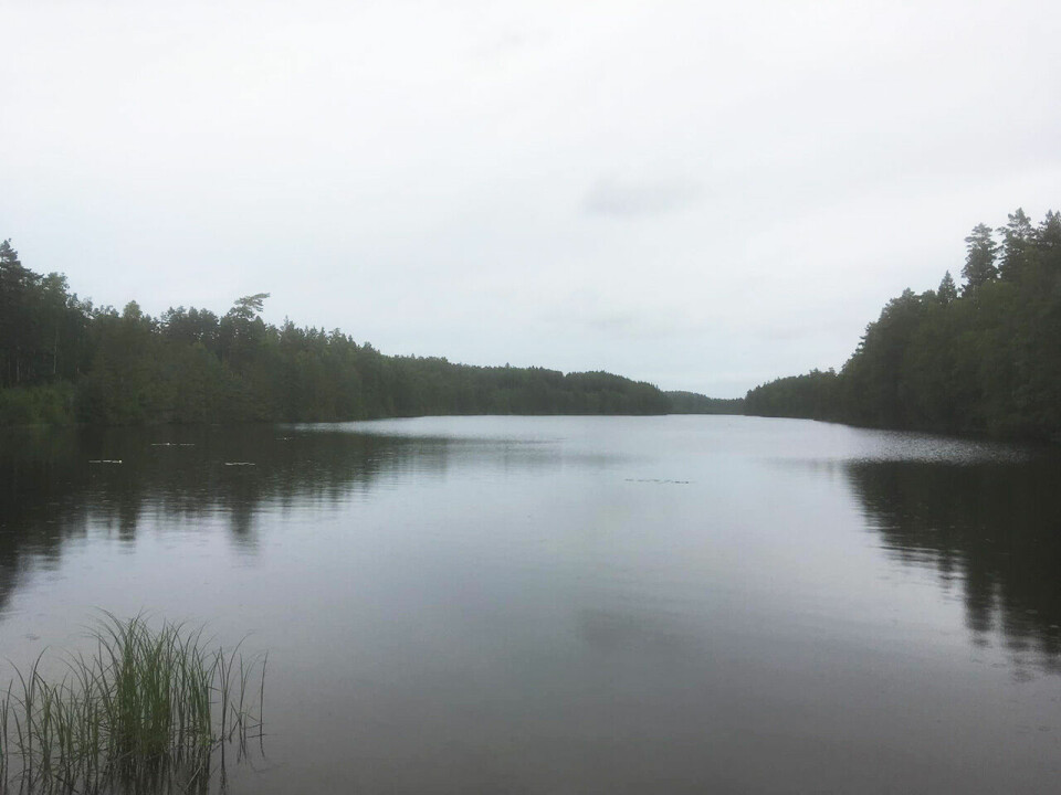 43 deltok i sesongstarten av Borredalen Rundt i Fredrikstad borredalsvannet.jpg