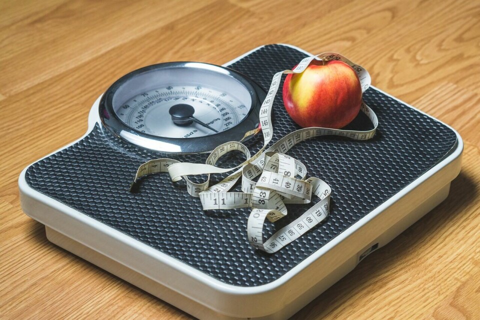 De lærde strides om det bør fokuseres på trening, kosthold eller begge deler for å få overvektige ned i vekt. (Foto: Tero Vesalainen, Pixabay) De lærde strides om det bør fokuseres på trening, kosthold eller begge deler for å få overvektige ned i vekt. (Foto: Tero Vesalainen, Pixabay)