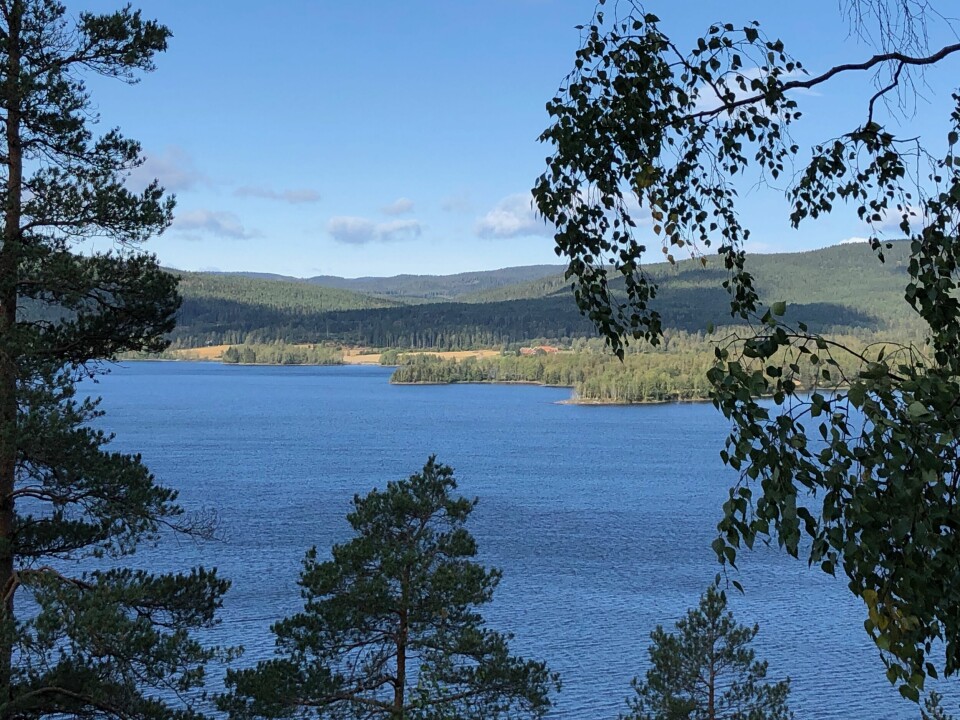 Min beste langtur i Oslo Maridalsvannet i Oslo