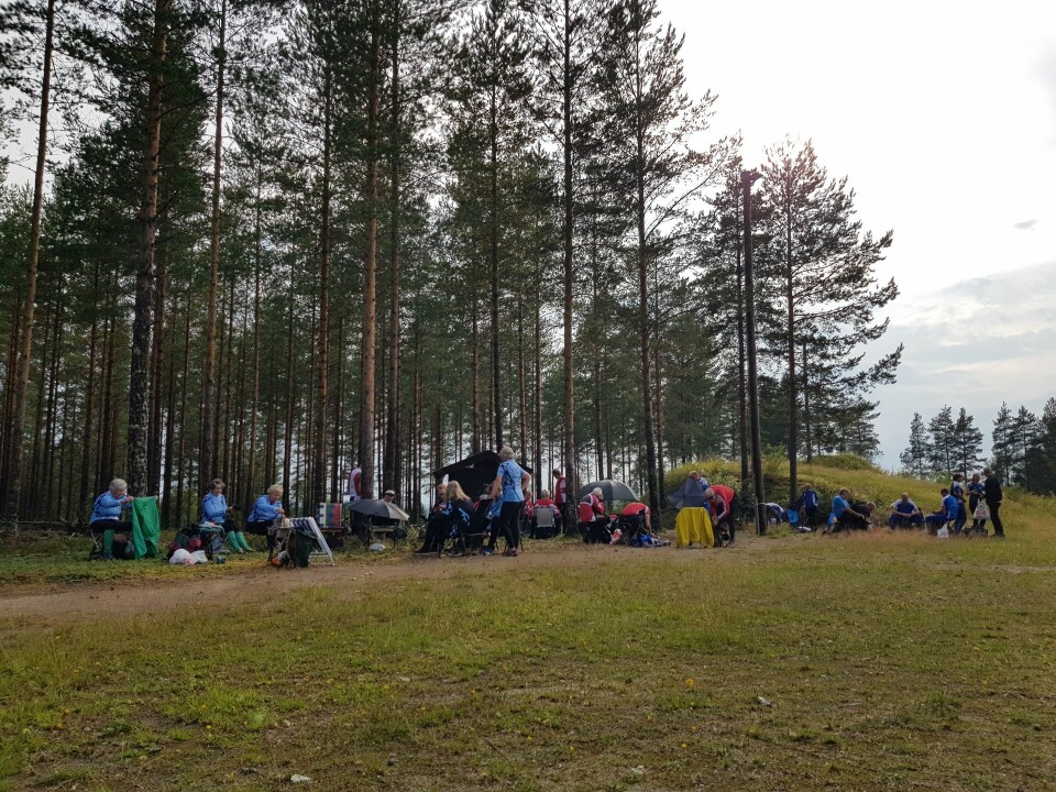 Lettløpt furumo i ukas bedrifts o-løp i Elverum Samlingsplass Skistadion til Strandbygda IL.jpg
