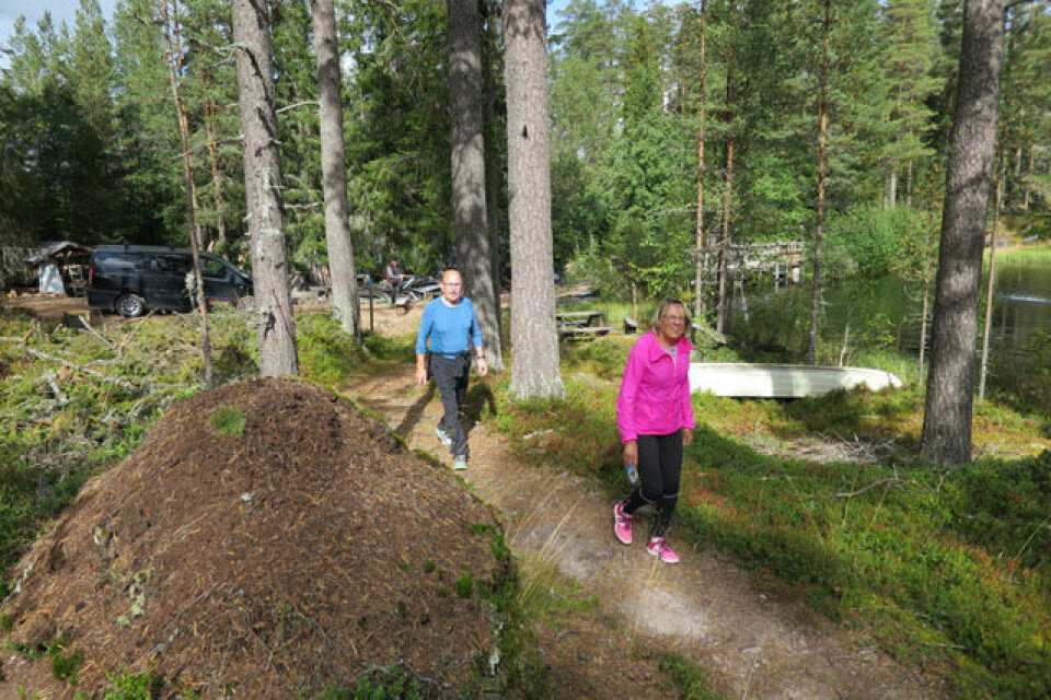 Grensetrimmen tradisjonen tro i Trysil Trimmere_ved_maurtua.jpg