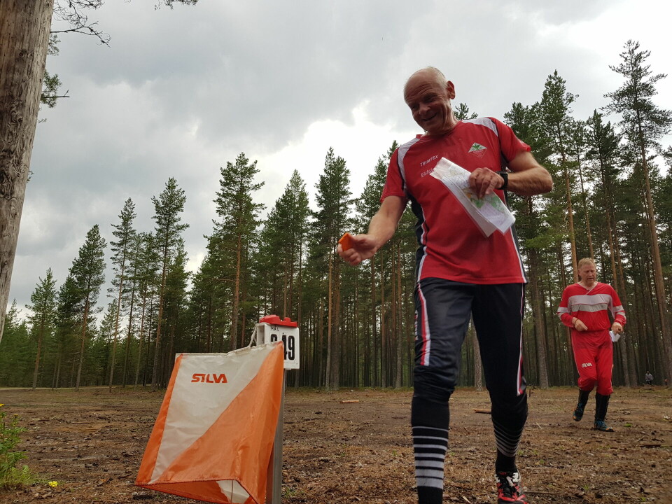 Lettløpt furumo i ukas bedrifts o-løp i Elverum Arne Arnesen målstempler med et lurt smil.jpg