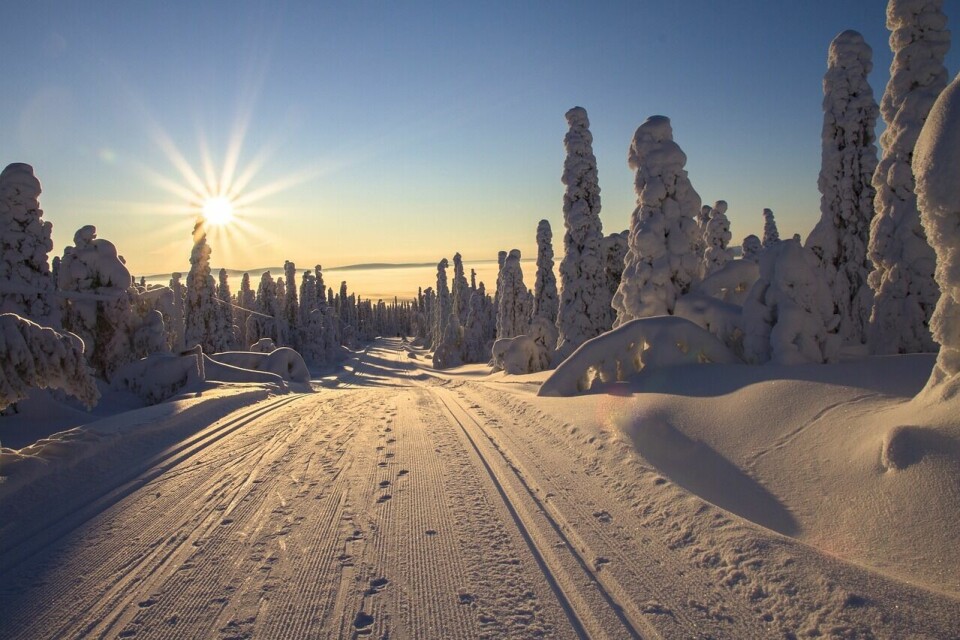 Det blir i vinter arrangert skikarusell i Tromsø. (Illustrasjonsfoto: Pixabay) Det blir i vinter arrangert skikarusell i Tromsø. (Illustrasjonsfoto: Pixabay)