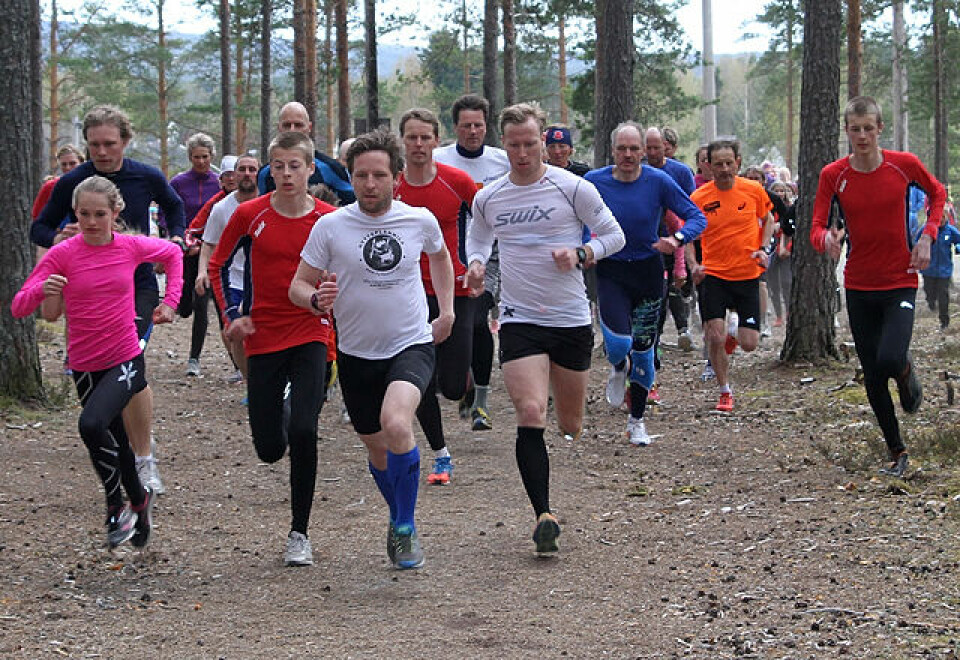 180 løp i gang Elverumtrimmen Start_lang_loype.jpg