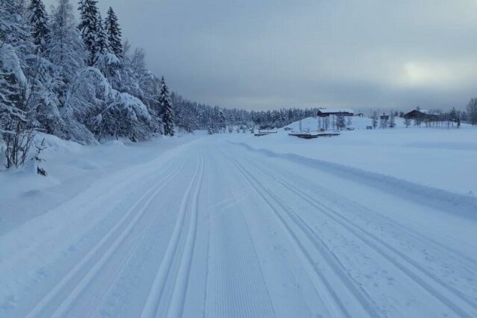 Drømmeforhold både med og uten festevoks i Trysil-Knut Renn-traséen på søndag. (Foto: Erland Olsen) Drømmeforhold både med og uten festevoks i Trysil-Knut Renn-traséen på søndag. (Foto: Erland Olsen)