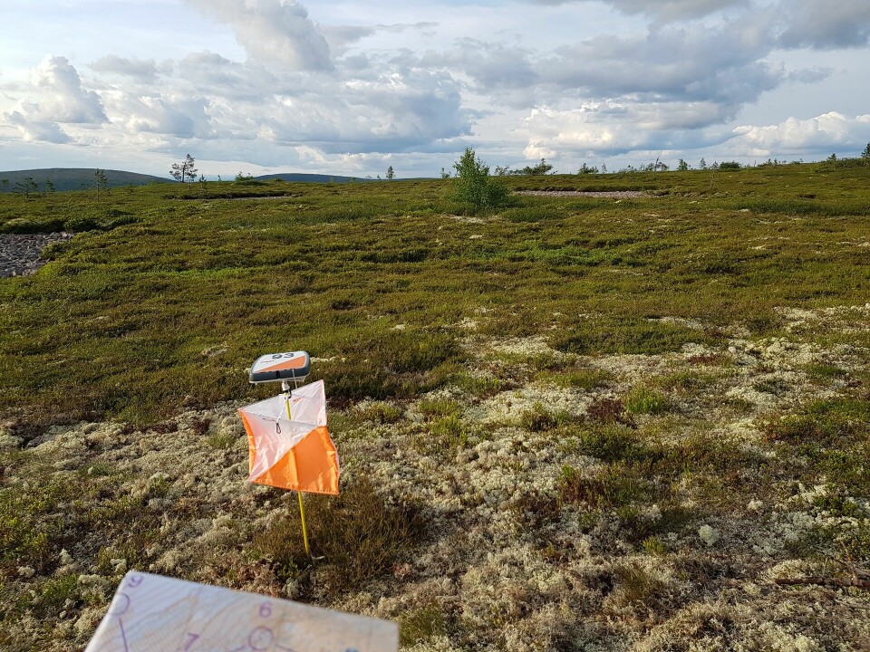 Post på snaufjellet. (Foto: Stein Arne Negård) Post på snaufjellet. (Foto: Stein Arne Negård)