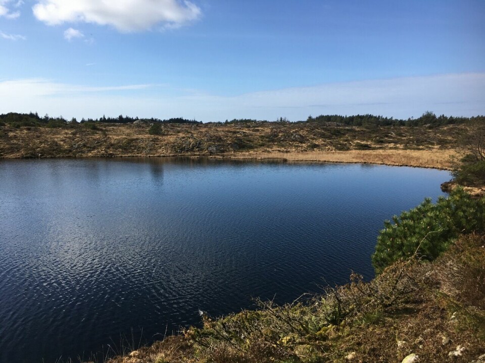 47 har løpt Kondis' virtuelle maraton- og ultraløp, som fortsetter ut mai Sjur_Ferkingstad_Røyningsvatnet_ca5km (1280x960).jpg