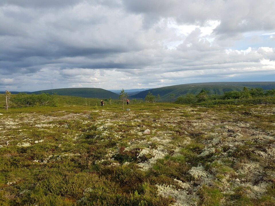 Trivelig og utfordrende 3-dagers fjellorientering i Sälen Fint og krevende på snaufjellet.jpg