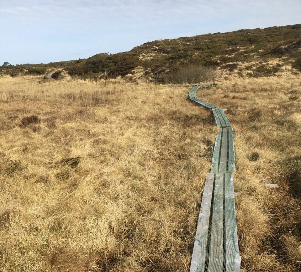 47 har løpt Kondis' virtuelle maraton- og ultraløp, som fortsetter ut mai Sjur_Ferkingstad_Myrparti_nord_for_Burmaveien (1280x1155).jpg