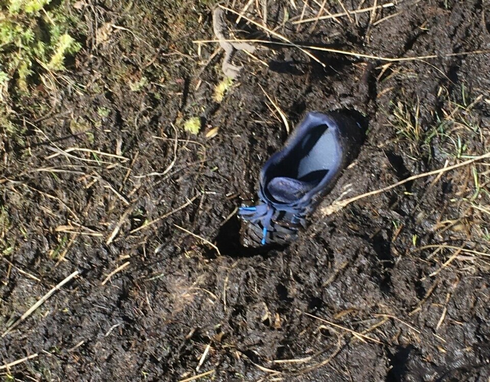 47 har løpt Kondis' virtuelle maraton- og ultraløp, som fortsetter ut mai Sjur_Ferkingstad_Mizuno_Wave_Rider_i_myra (1280x997).jpg