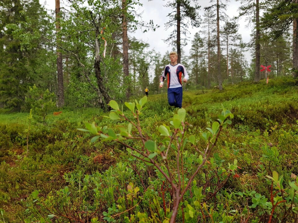 Trivelig og utfordrende 3-dagers fjellorientering i Sälen Ole Solli Kvikstad OL Toten-Troll.jpg