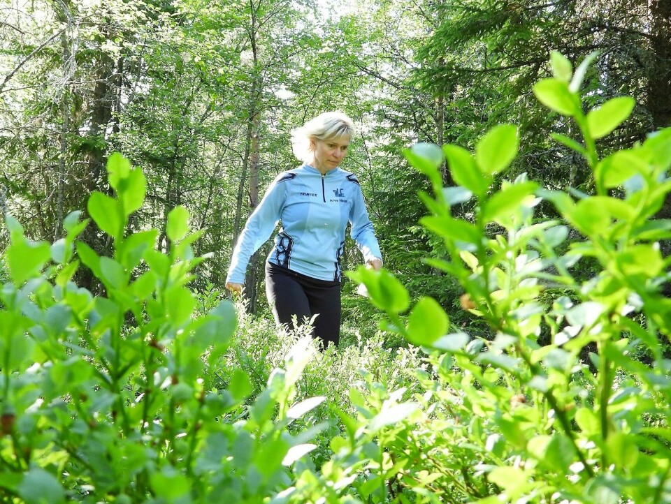 Bedrifts o-løp fra Vollkoia avsluttet vårsesongen Anita H¢ie i h¢y blåbærlyng.jpg