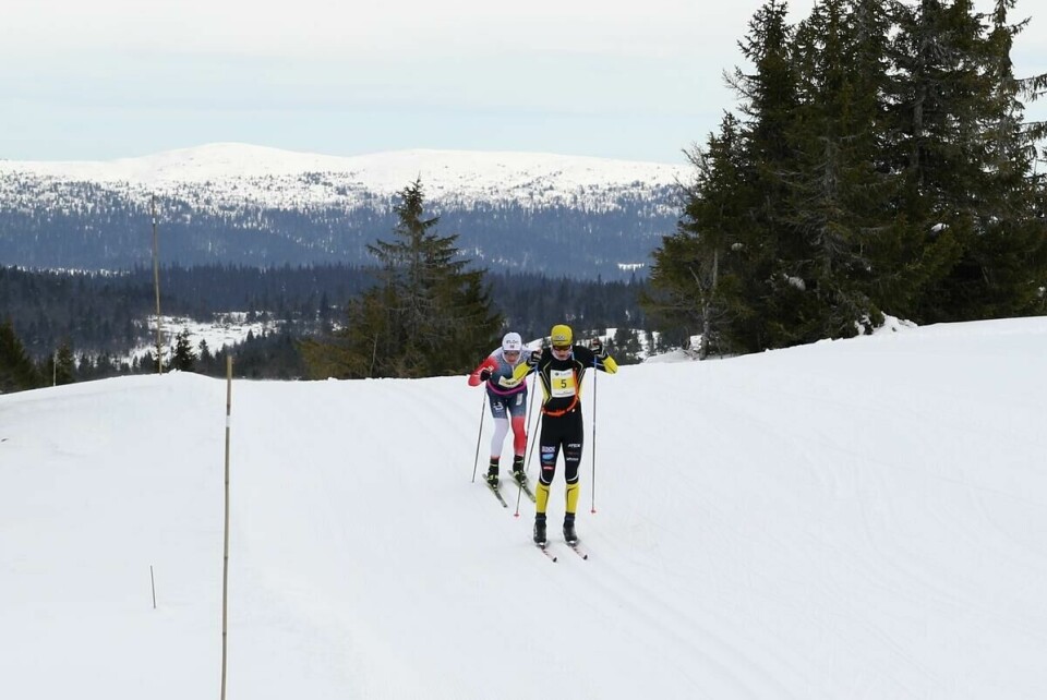 Hafjell Ski Marathon (5)