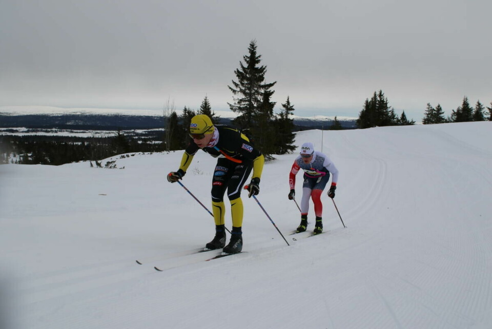 Hafjell Ski Marathon (6)