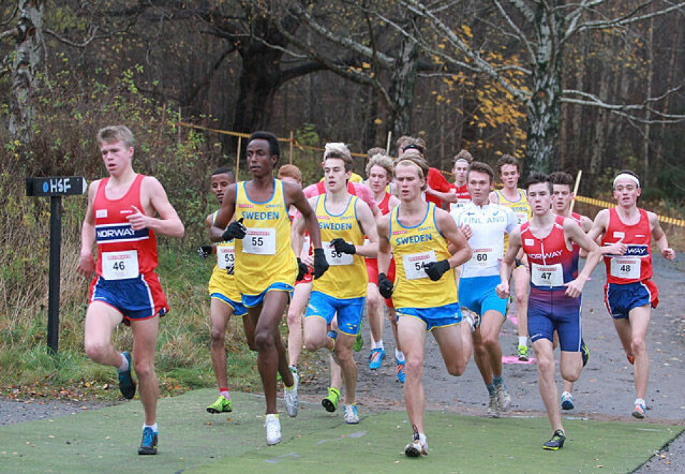Jakob Ingebrigtsen tok gull på første forsøk Nordisk_MJ_runde1_skogen.jpg