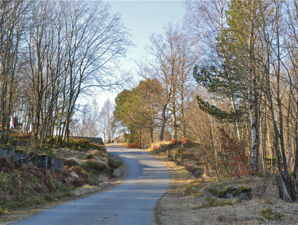 Nytt motbakkeløp - Lyderhorn Opp