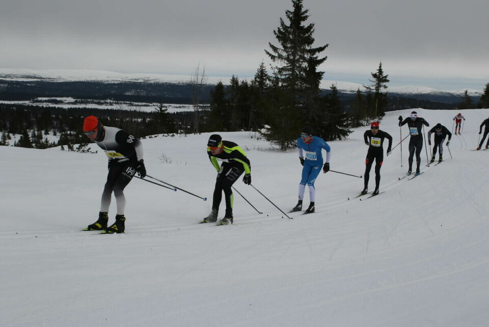 Hafjell Ski Marathon (25)
