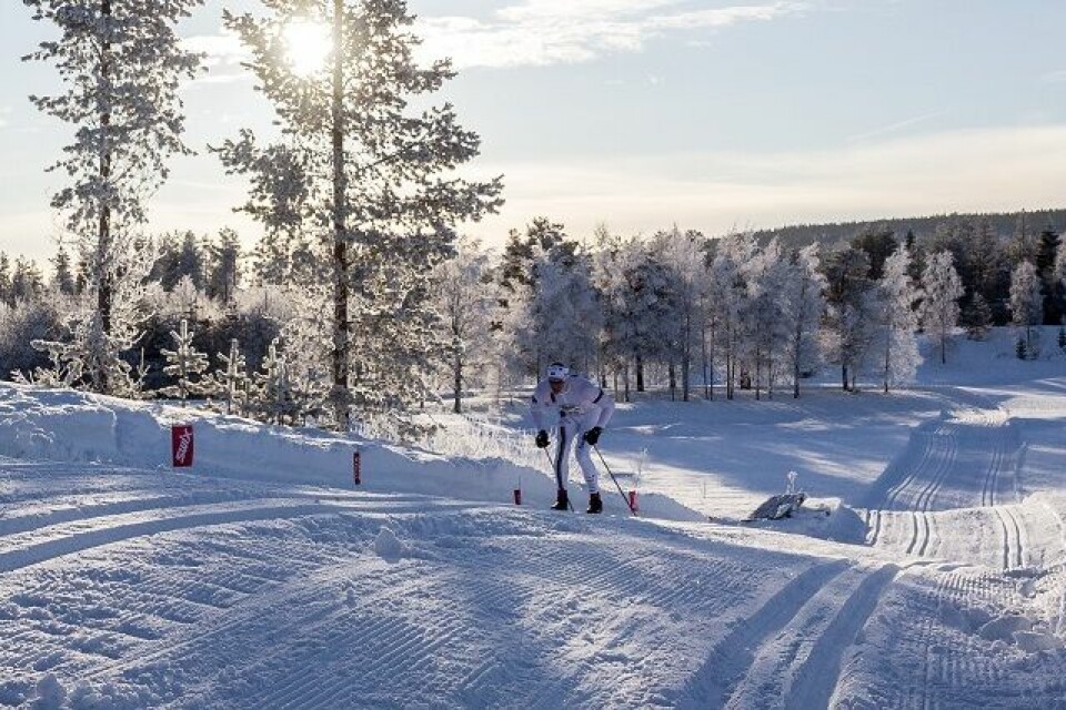 Lovende utsikter for Trysil-Knut rennet Haavard_Hansen_maal.jpg