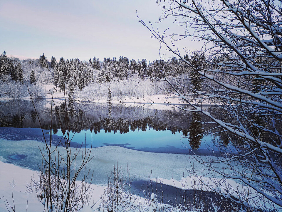 Bård Olav Moen varierer treninga og legger gjerne inn fotostans Vinteridyll_foto_Baard_Olav_Moen.jpg