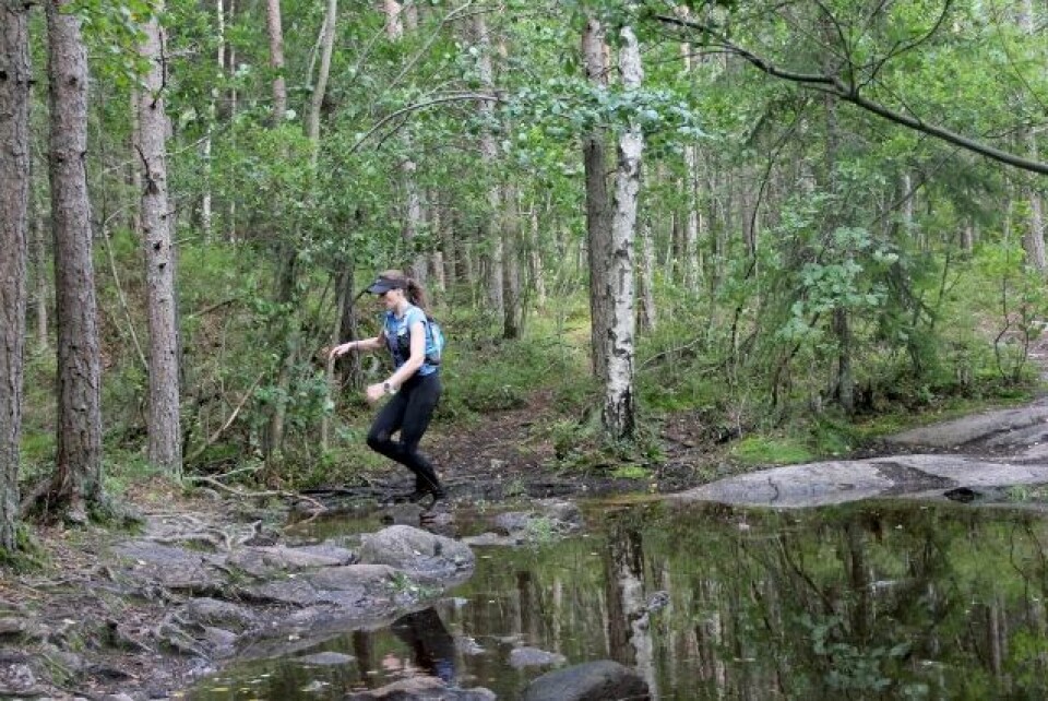 Marit Laulo og Frode Stenberg vant Flyktningeruta Typisk_Østmarkaterreng (640x427).jpg