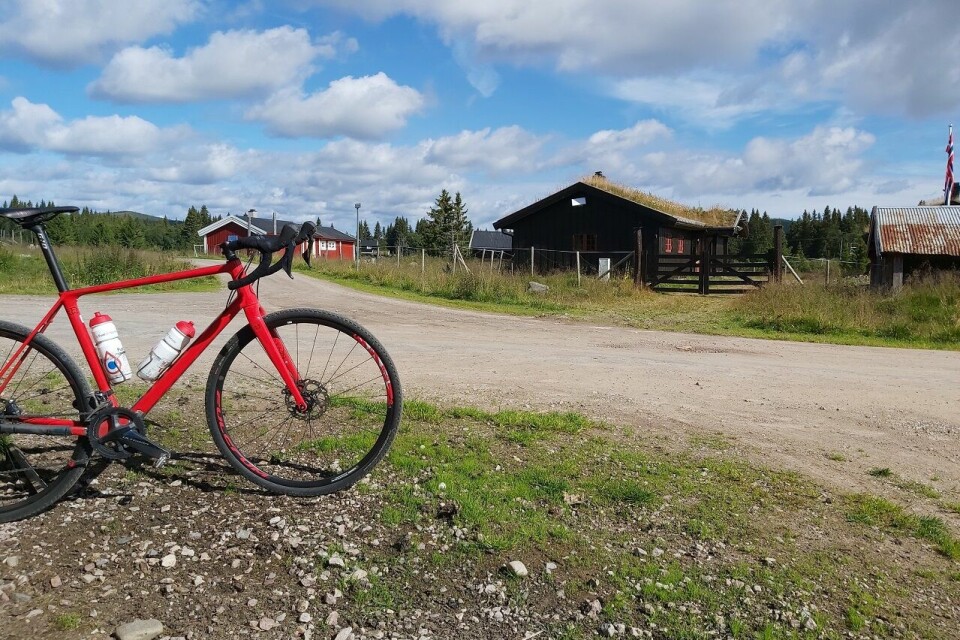 Pause i Sommerbirken ved Nysætra. Pause i Sommerbirken ved Nysætra.
