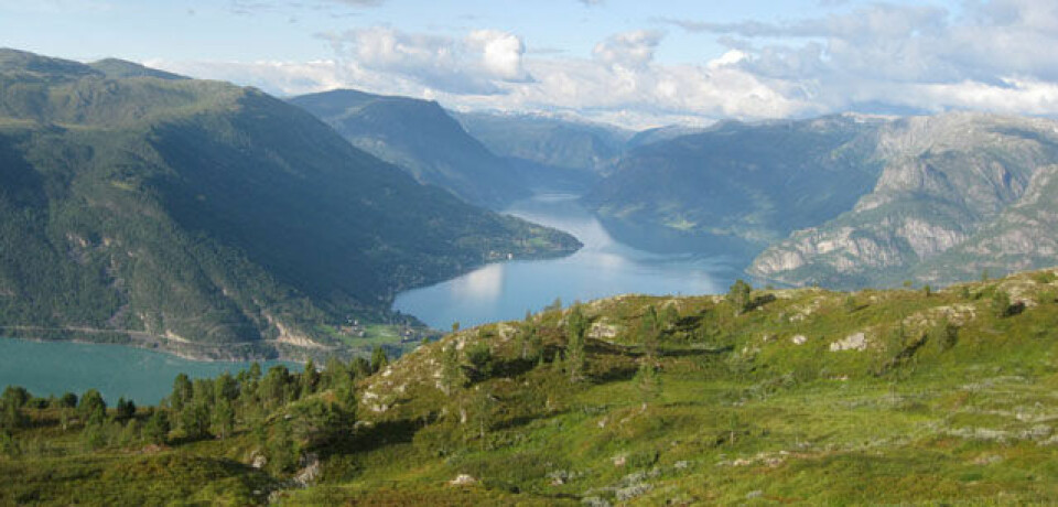 TOPP DEBUT FOR MOLDEN OPP 640_UtsynMoldenOpp_FotoChristianPrestegaard