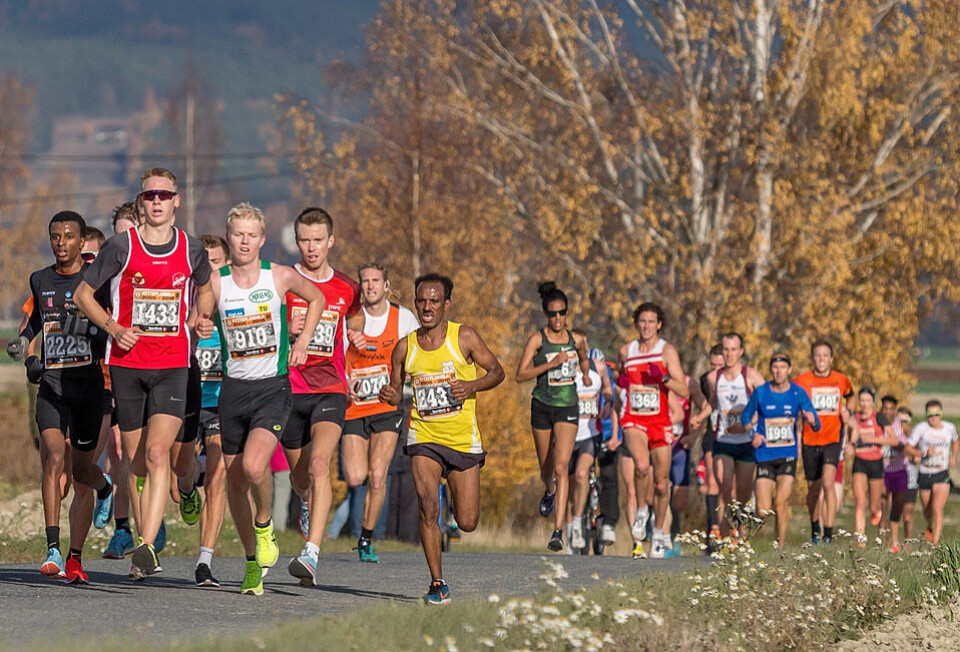 Etter 6 km: Vi ser et stort felt med mange som løp fort; både ungdommer, veteraner og kvinner. I tet ser vi tre ungdommer; Fredrik Sandvik (1433), Simon Steinshamn (2225) som ble nr. 2 i junior-NM i terrengløp forrige helg og vinneren av klasse 16-17 år, Martin Kirkeberg Mørk (910), som løp på gode 31.19. Lengre bak ser vi både Meraf Bahta og Karoline Bjerkeli Grøvdal som løp seg inn på 3. og 4. plass på Europa-statistikken på 10 km og et sted mellom dem ser vi Øystein Mørk (1991), 44-åringen fra Lier som løp fortest av 818 mannlige veteraner. (Foto: Ole Arne Schlytter) Etter 6 km: Vi ser et stort felt med mange som løp fort; både ungdommer, veteraner og kvinner. I tet ser vi tre ungdommer; Fredrik Sandvik (1433), Simon Steinshamn (2225) som ble nr. 2 i junior-NM i terrengløp forrige helg og vinneren av klasse 16-17 år, Martin Kirkeberg Mørk (910), som løp på gode 31.19. Lengre bak ser vi både Meraf Bahta og Karoline Bjerkeli Grøvdal som løp seg inn på 3. og 4. plass på Europa-statistikken på 10 km og et sted mellom dem ser vi Øystein Mørk (1991), 44-åringen fra Lier som løp fortest av 818 mannlige veteraner. (Foto: Ole Arne Schlytter)