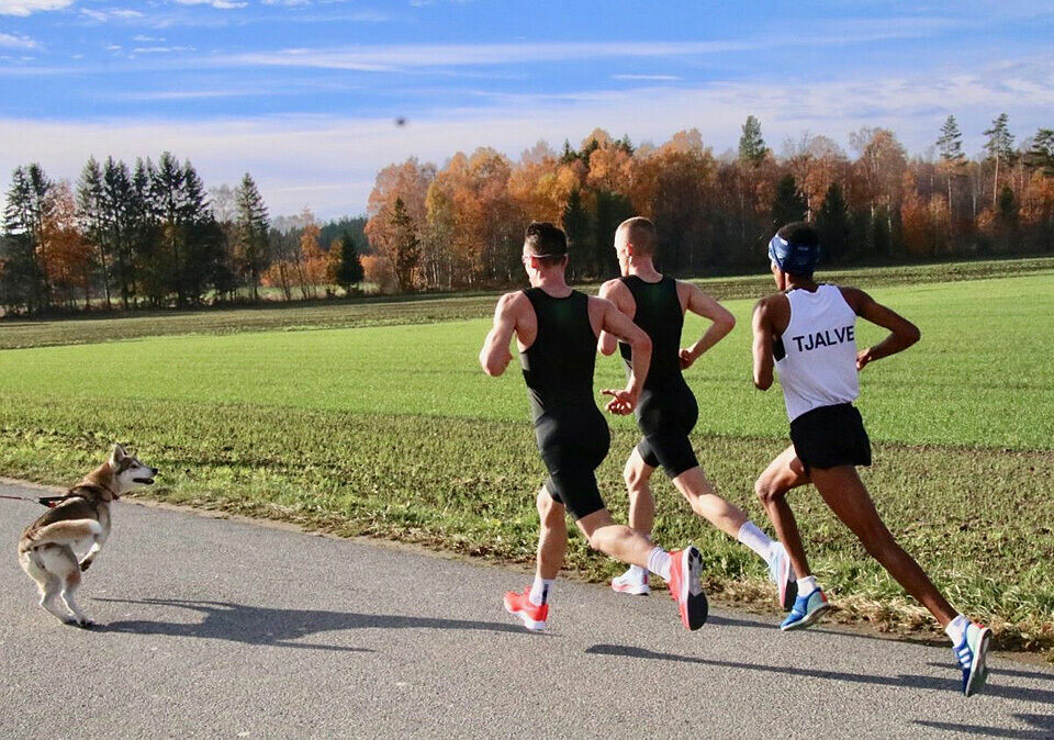 Hytteplanmila - høydepunktene, klassevinnerne og rekordene Bikkja_i_loeypa_foto_arr_Hans_Edgard_Rakeie.jpg