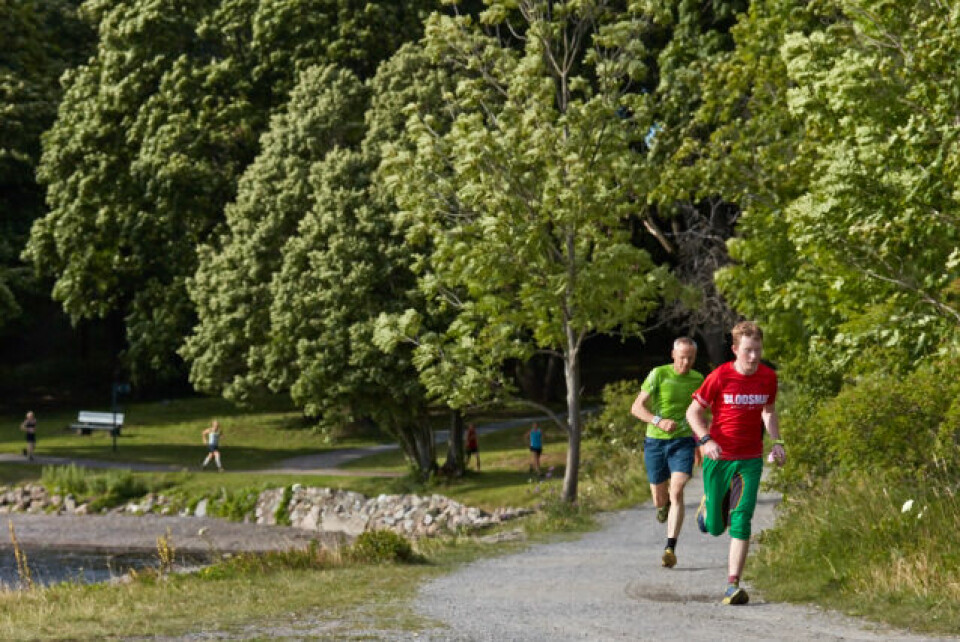 Hovedøya Rundt for syvende gang ga to løyperekorder 025_hovedoya_lop_07072016.jpg
