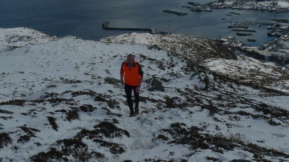 Kvit Sjutoppstur på Sandsøya