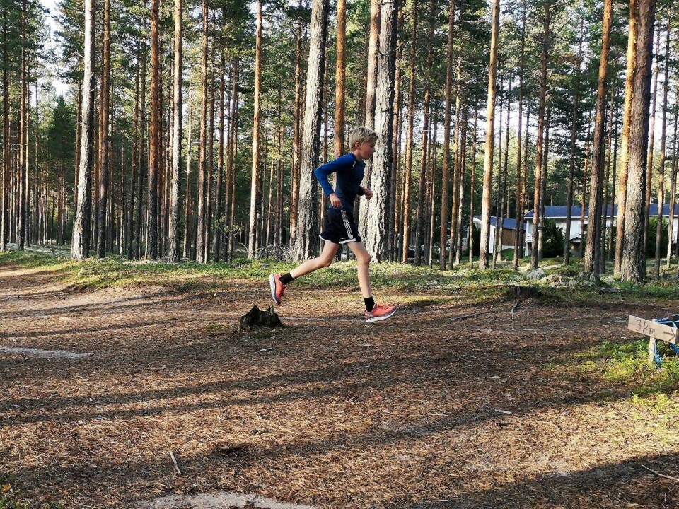 Elverumtrimmen går på deilige skogsstier i Stavåsen og på Løvbergsmoen. (Foto: Rolf Bakken) Elverumtrimmen går på deilige skogsstier i Stavåsen og på Løvbergsmoen. (Foto: Rolf Bakken)