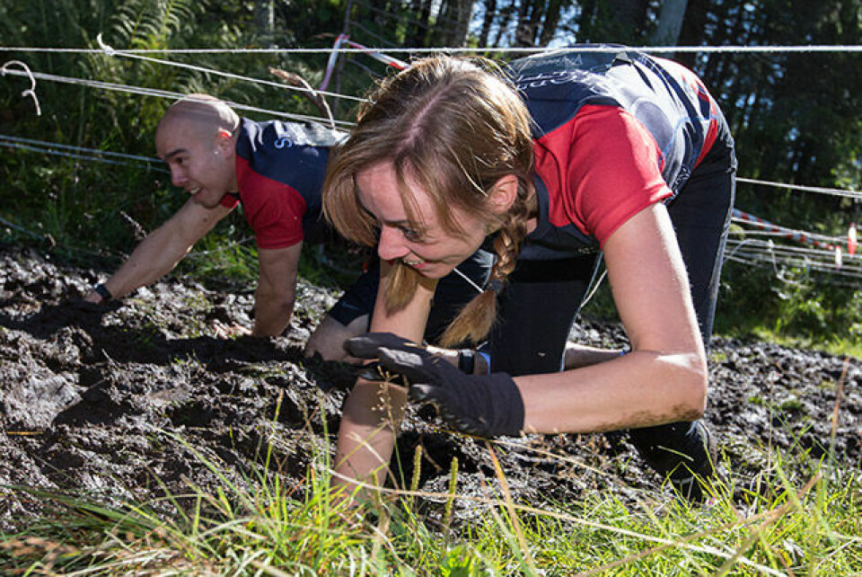 Engelske Albon slo de norske vikingene