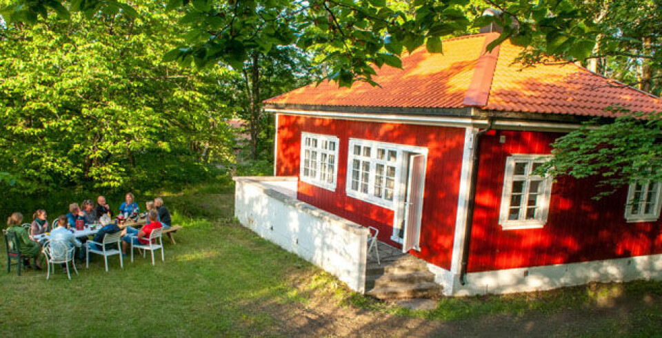 Hovedøya Rundt for syvende gang ga to løyperekorder Tiern_foto_Oslofjordens_Friluftsraad.jpg