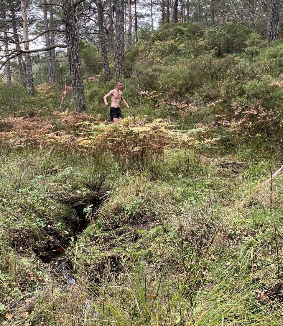 Odda Engesæter vant Backyard Ultra i Bergen Odda_skogen.JPG