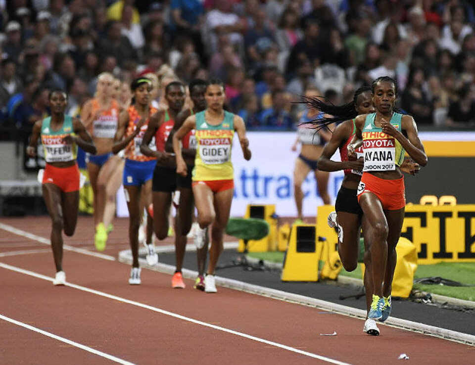 Sykdom satte stopper for Bjerkeli Grøvdal på 5000 m 5000-obiri-ayana-luke_50D9272.jpg