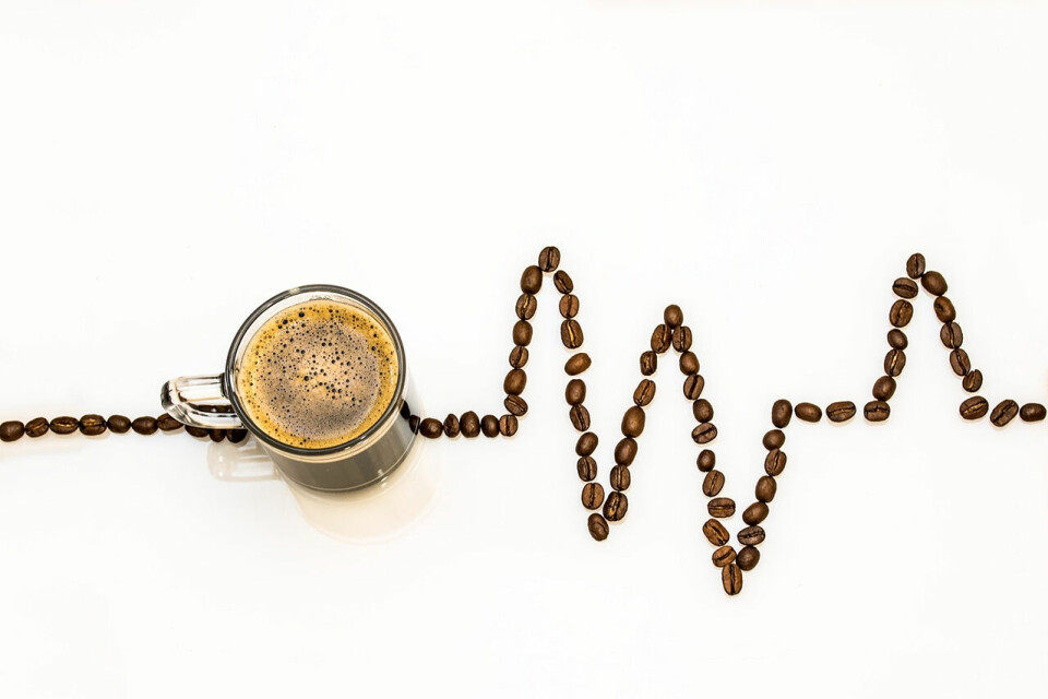 Mye tyder på at prestasjonskurven kan påvirkes positivt av kaffeinntak. (Foto: Myriam Zilles / Pixabay) Mye tyder på at prestasjonskurven kan påvirkes positivt av kaffeinntak. (Foto: Myriam Zilles / Pixabay)