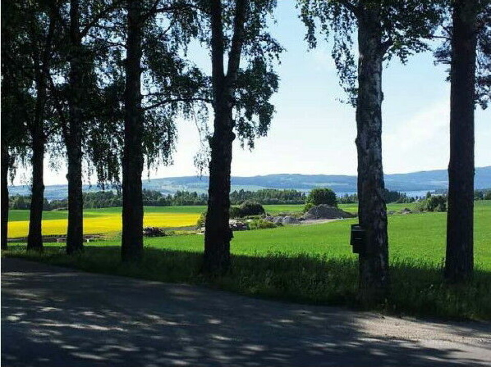 Gylne Gutuer sykkelfestival i Stange 13. og 14. mai Gylne_Gutuer_640x479