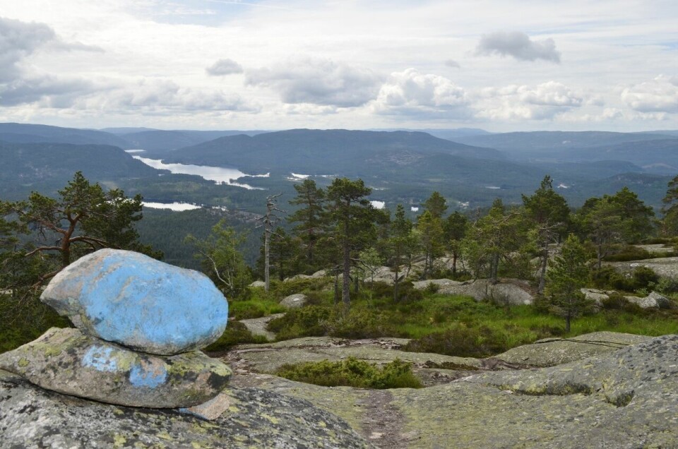 Skuggenatten Ultra 6. juni, 43 km med Galdhøpiggen-stigning Godt_merket_flott_terreng (1280x848).jpg