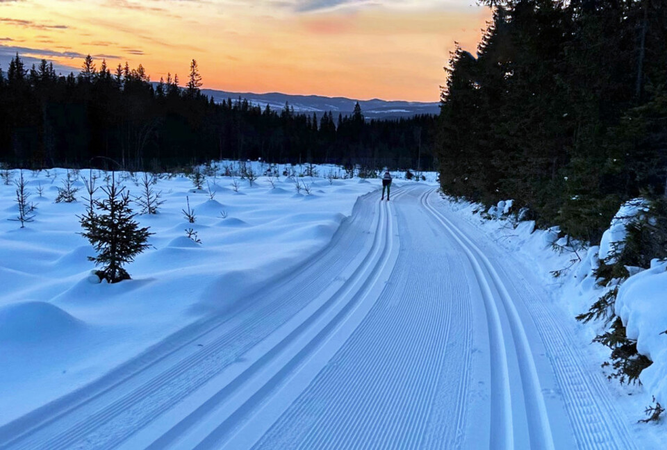 Pendlerrennet er et langt men fantastisk turrenn. (Foto: Gro Siljan Hjukse) Pendlerrennet 2023 fortalt gjennom Gro Siljan Hjukse sine øyne