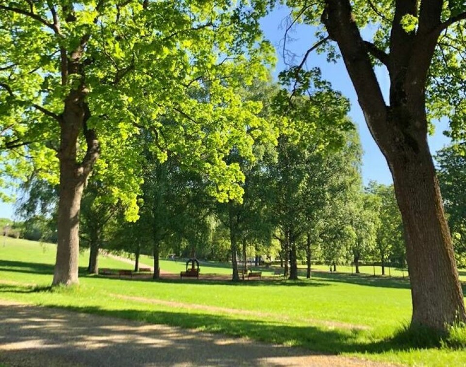 Arrangørfoto fra Frognerparken Arrangørfoto fra Frognerparken