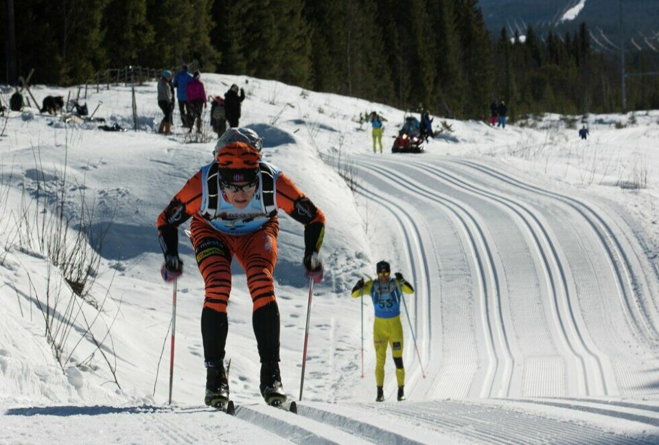 Trått og bratt, men stake lell? Birkebeinerrennet 2015