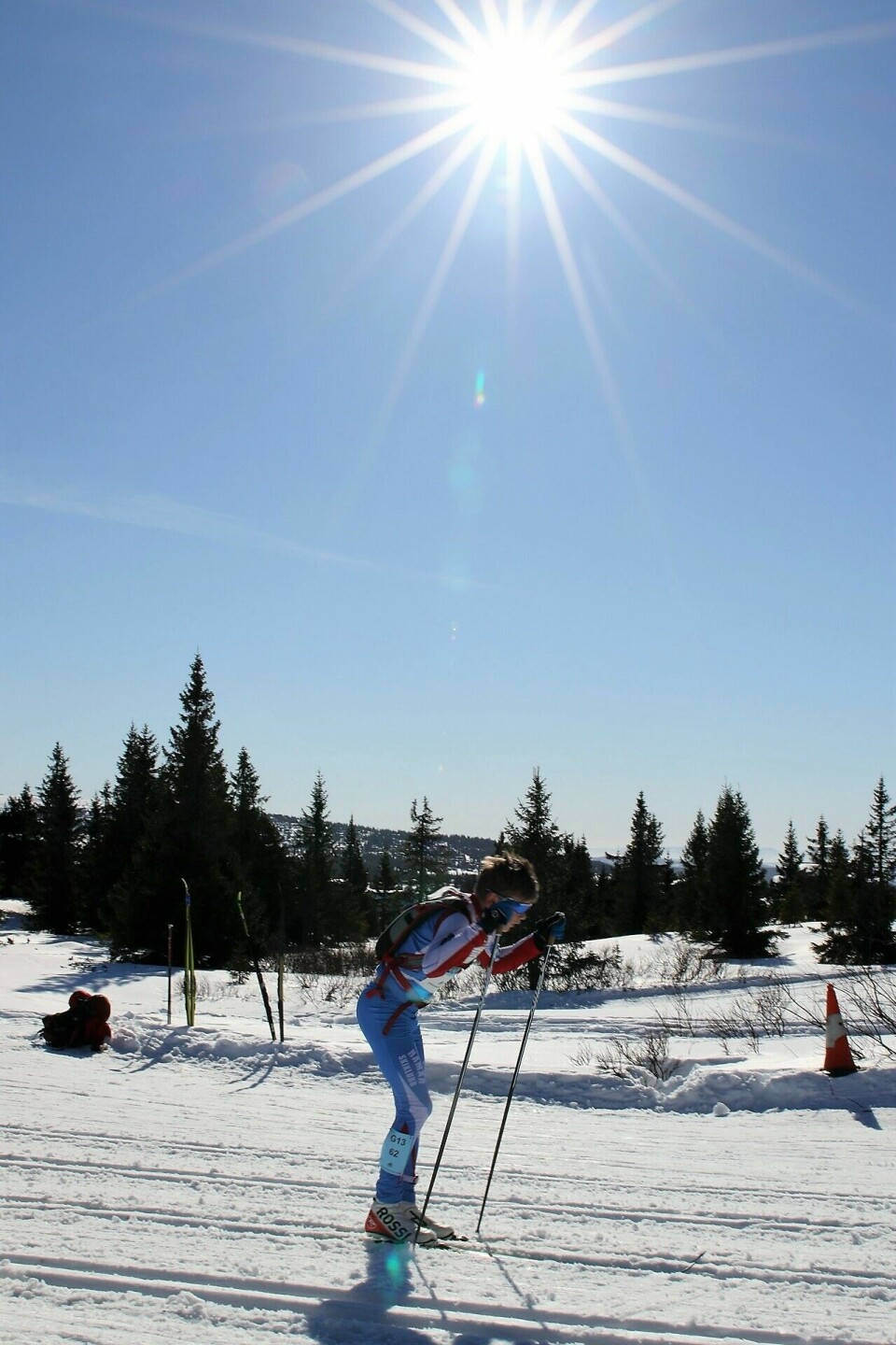 Ungdomsbirken i påskesol Ungdomsbirken i sol.JPG