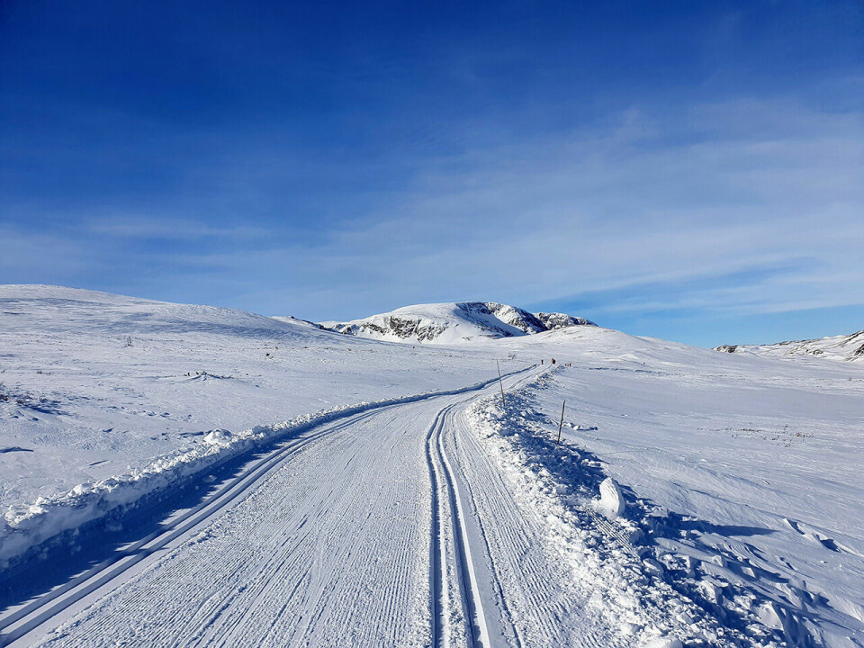 Vasaloppsopplevelser fra startpulje 3 – del 1: 'prerace report' Ved-Hallingskarvet-20220303_115020~2.jpg