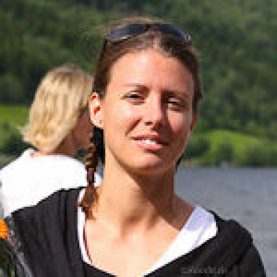 Jølster maraton i sol IMG_6497_MarieEve